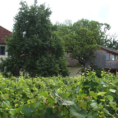 L'Entre-Coeur Bed & Breakfast Menetru-le-Vignoble Екстериор снимка